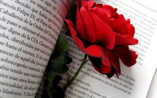 关于困惑时期勇气心理学的50句话