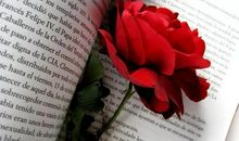 50句迷茫时期的勇气心理学