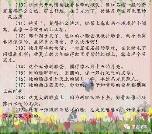 经典句子描述老师的外表