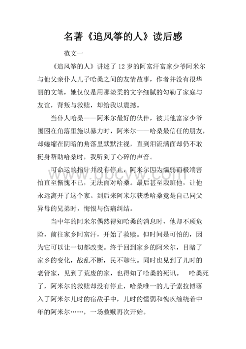 阅读风筝追赶者后的600个单词