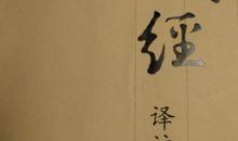 诗经：东门之池