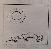 绕口令的音节练习