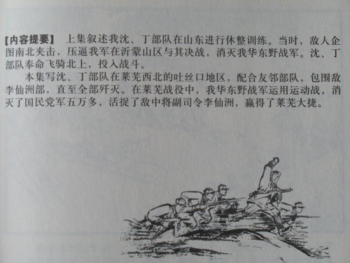 关于阅读《红太阳》的思考