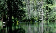 瓦尔登湖英语读后感