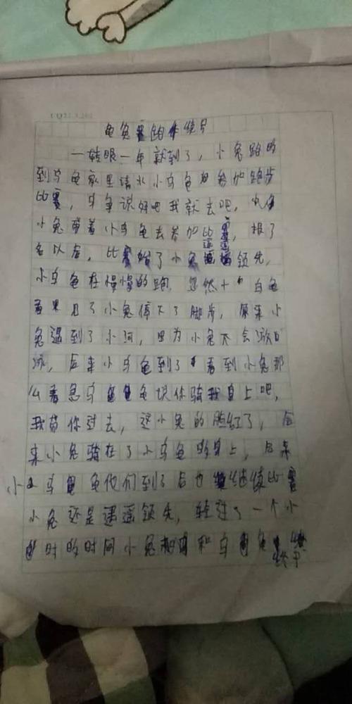 乌龟和野兔继续