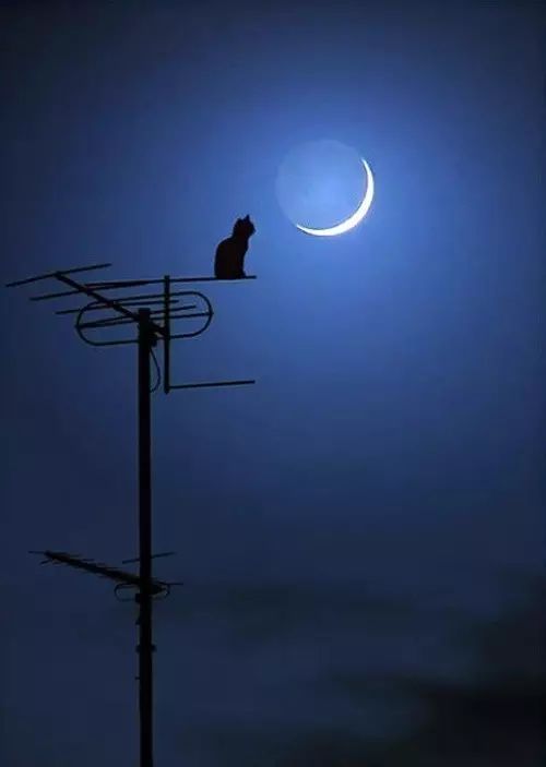 信心，成功道路上不可多得的力量