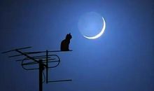 自信，成功路上难得的力量