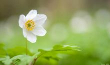 优美的安慰心灵的话