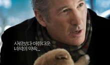 爱的解析——《忠犬八公》读后感