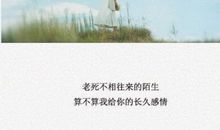 2015让人心疼的句子