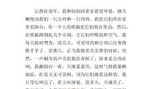 小学生作文最难忘的一件事