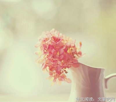 提取300个单词的漂亮句子