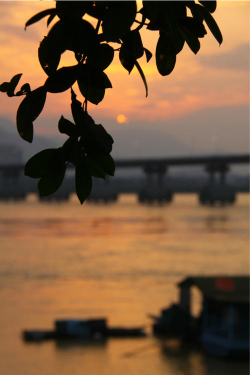 关于夏天的短片