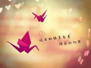 很经典的爱情句子