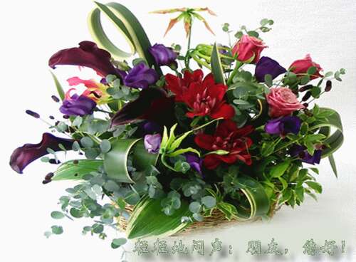 李开复：给父母的四个建议