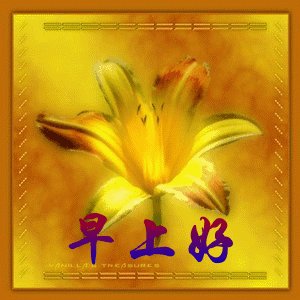 夏日早晨的句子