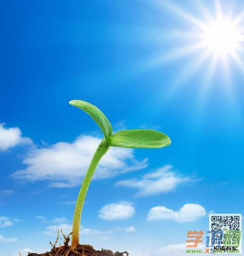 关于生活感知的构图