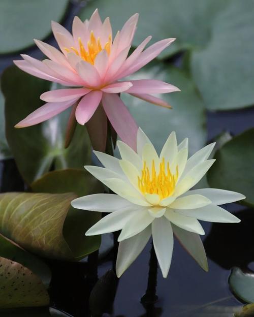 关于夏天的美好片段