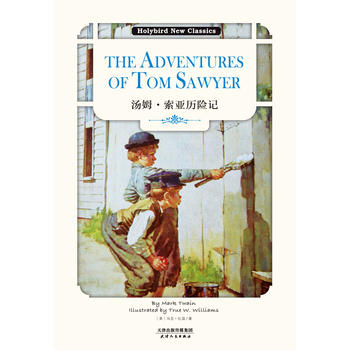 汤姆·索亚历险记（续）