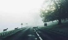 认真生活的人，生活绝不会亏待你