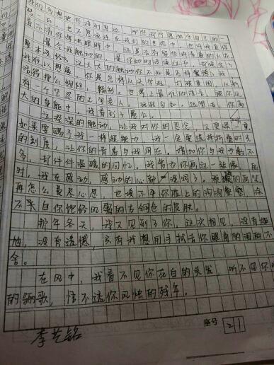 写作作品：《笔的友谊》