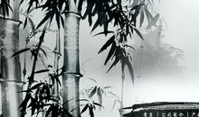 关于音乐的优美语句