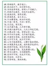 关于人类的谚语