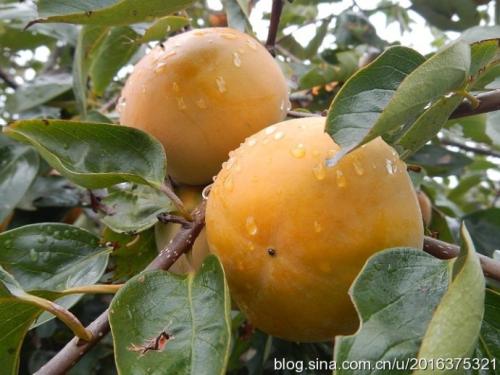 习慕容：关注色彩不是奢侈的行为