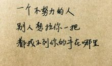 优美的情感句子