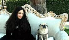 读《岛》后有感