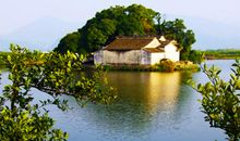 风景作文：春色满树林