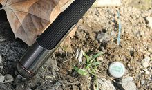 老舍：一筒炮台烟