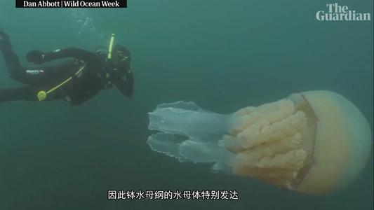 黄忠被判刑被遗弃