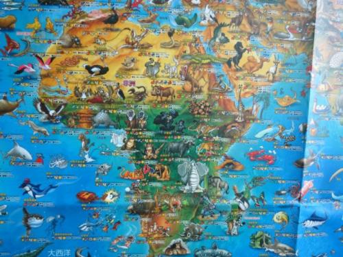 关于“动物世界”的思考