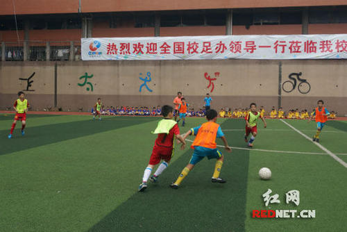 足球比赛的组成