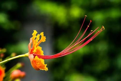 早上十句话，人生见解的经典语录