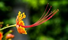 早晨10句句句入心的人生感悟经典语录