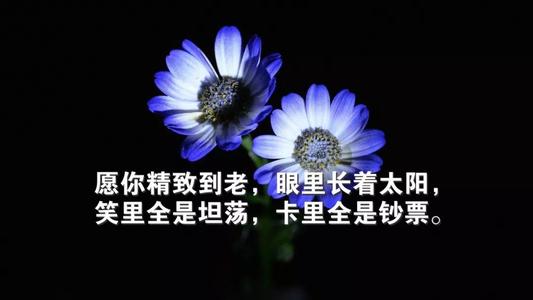 朋友圈中的经典语录,适合有故事的您!