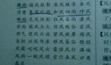 描写叶子的词语