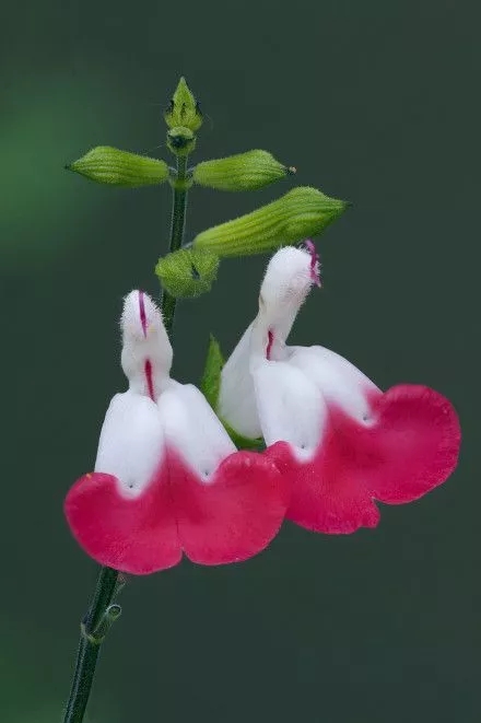 曾国藩：谁的生命没有拥有和失去