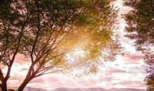 “让前任后悔”是怎样一种体验？