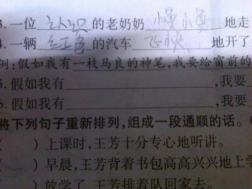 100个单词的描述性句子