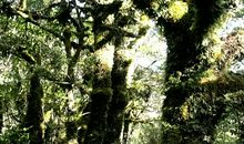 北岛：是的，昨天