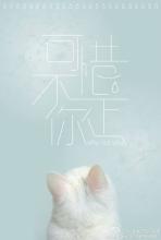 隐藏在某个时间，错过了一段时间的掌纹