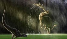 生活的残酷与美丽