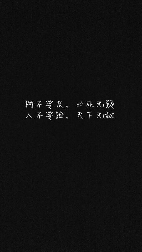 世界上最美丽的句子