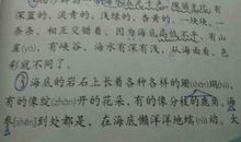 外貌描写的句子