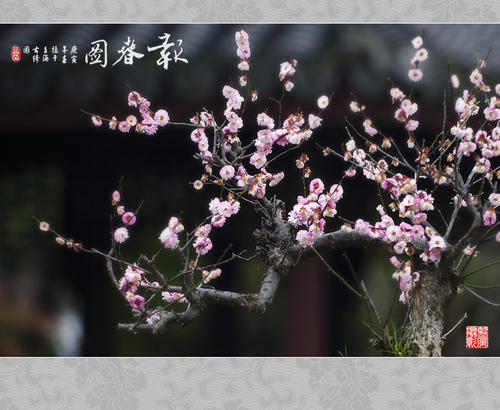 五句话可以改变你的生活