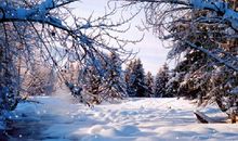 郑燮：山中雪后