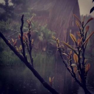 诗经：十亩之间